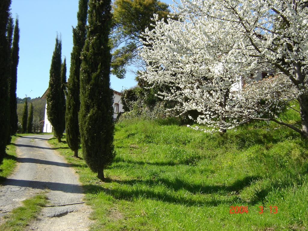 Podere"Sulle Soglie Del Bosco" Appartament And Rooms Pescia Eksteriør bilde