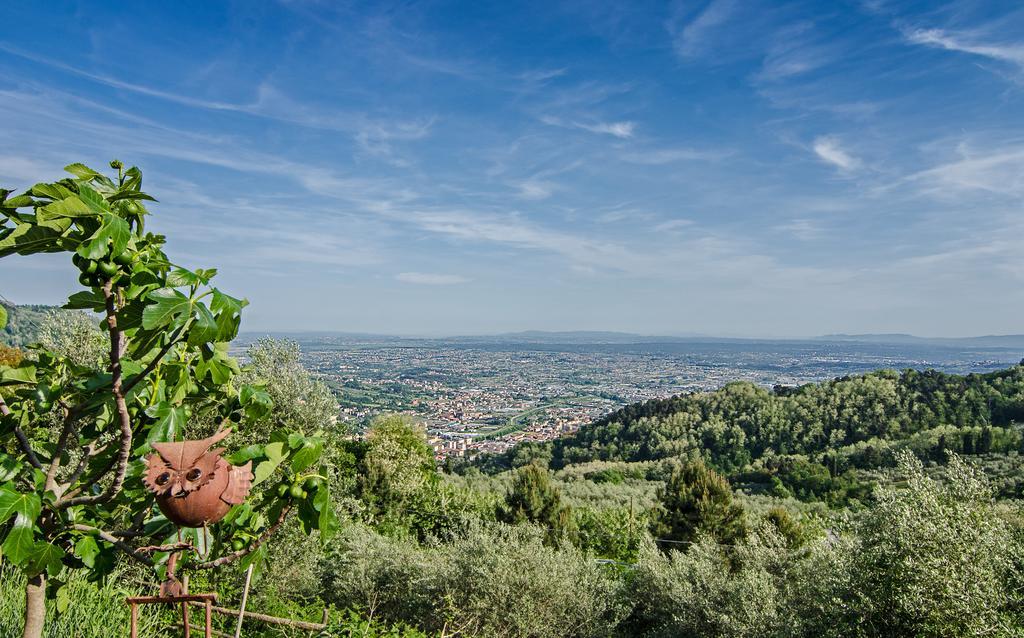 Podere"Sulle Soglie Del Bosco" Appartament And Rooms Pescia Eksteriør bilde