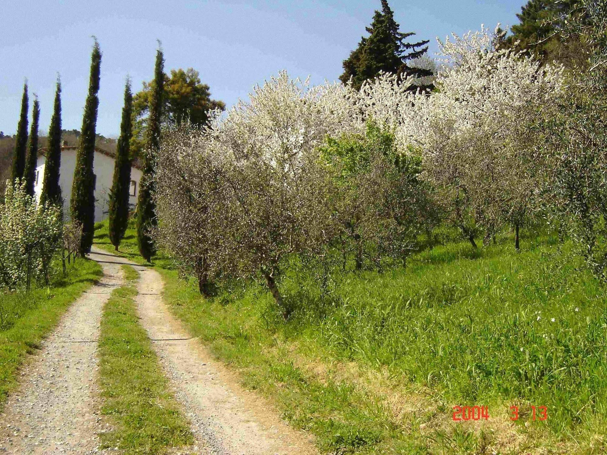 Podere"Sulle Soglie Del Bosco" Appartament And Rooms Pescia Eksteriør bilde